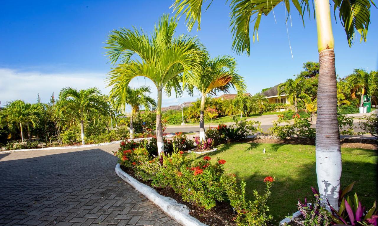Nature'S Choice Home Richmond Palms, Jamaica Eksteriør billede