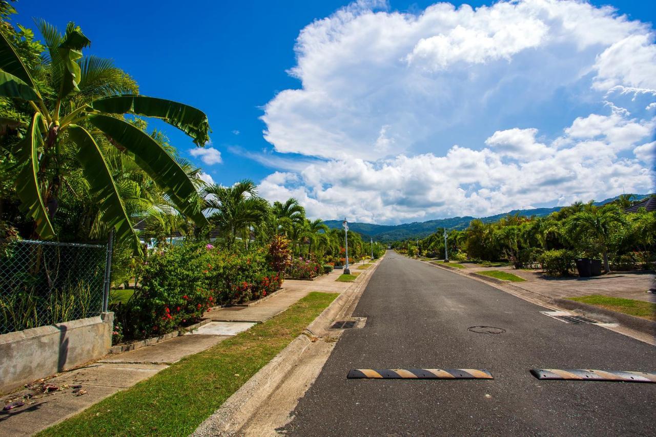 Nature'S Choice Home Richmond Palms, Jamaica Eksteriør billede